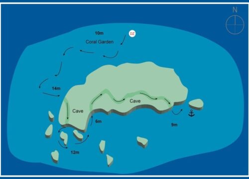 Abu Dabbab (turtle bay)
