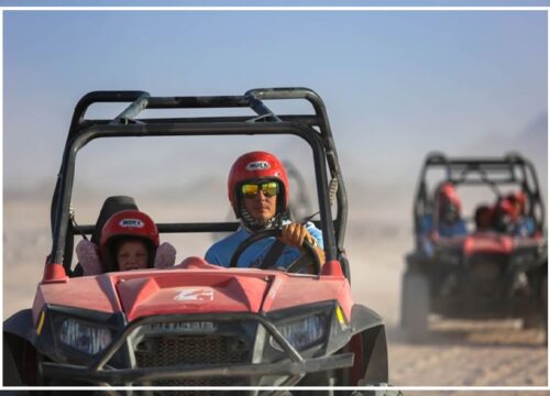 Buggy Safari (Morning/Afternoon)