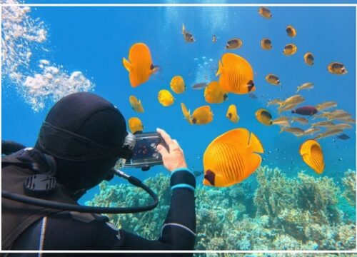 Diving Course (OWD)