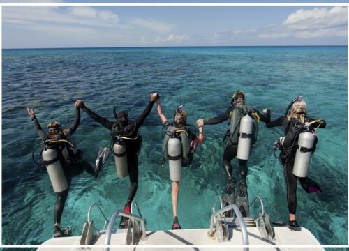 Diving for beginners