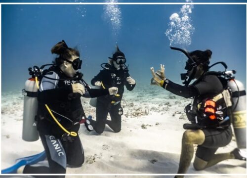 Diving for beginners