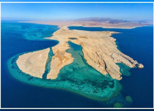 Ras Mohammed National Park (By Bus)