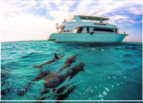 Sataya (Dolphin House)