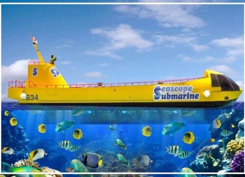 SEASCOPE (Submarines)