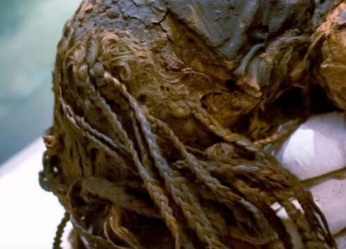 3,000-Year-Old Elegance: The Mummy with Perfect Braids